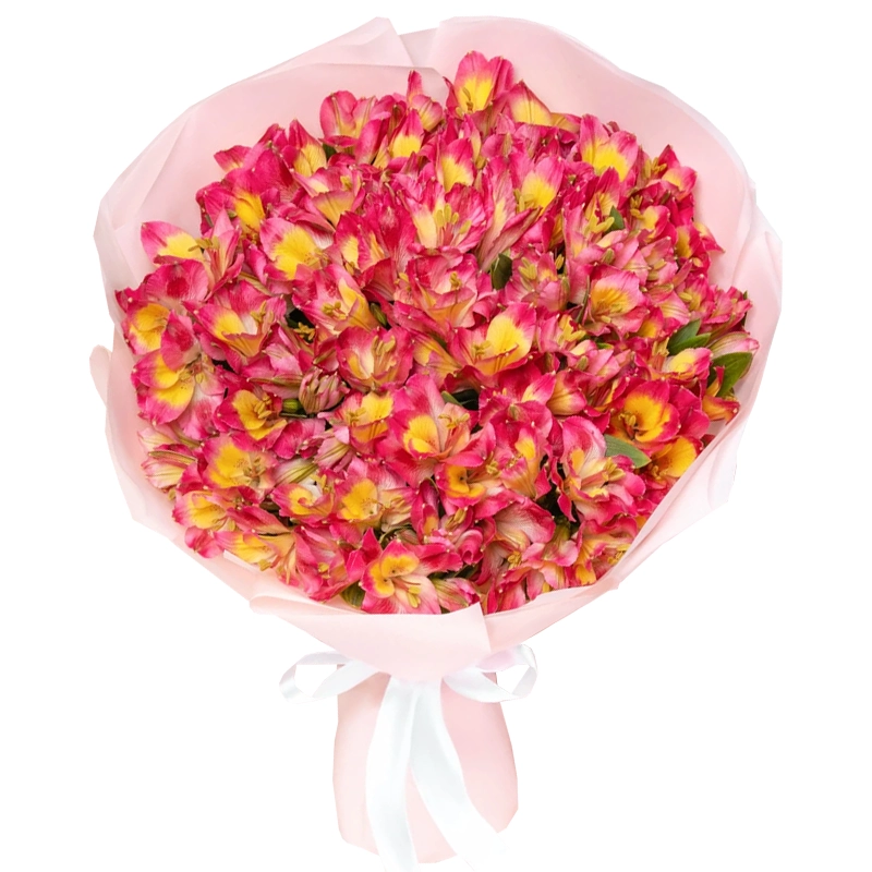 Букет из 25 малиновых альстромерий