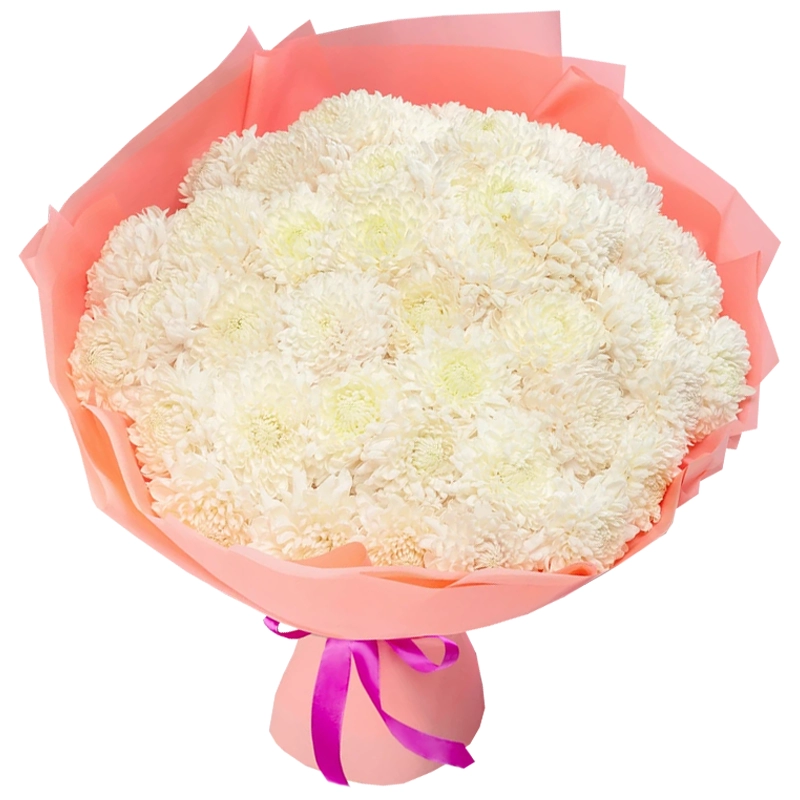 Букет из 51 белой одноголовой хризантемы